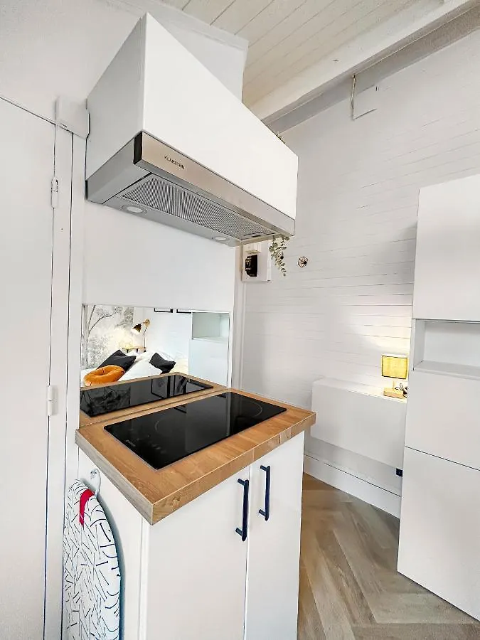 Ferienwohnung La Luminance Grenobloise - Climatisee Grenoble Apartment