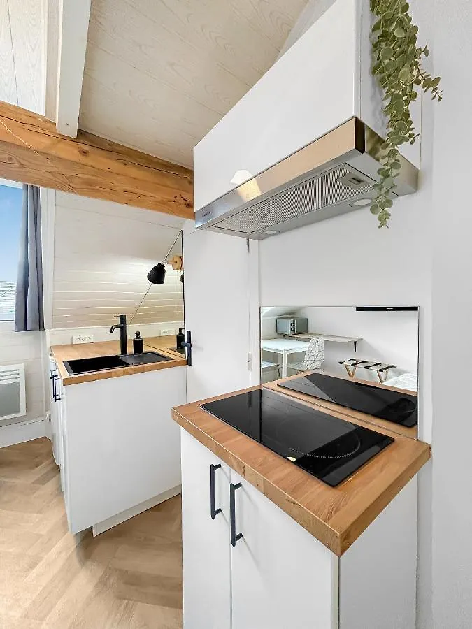 Apartment Ferienwohnung La Luminance Grenobloise - Climatisee Grenoble